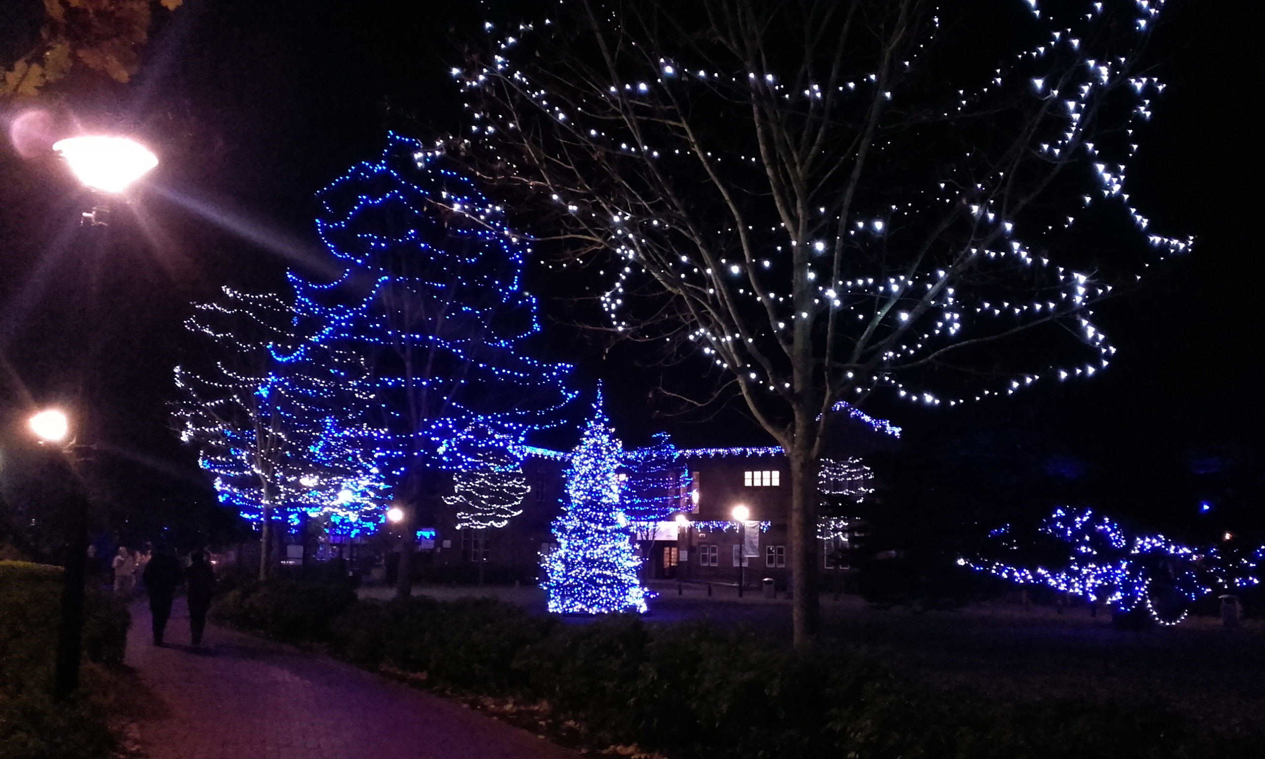 Wow the University’s Christmas lights on the Highfield campus are